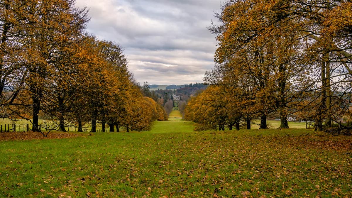 ISA Inheritance in Scotland: APS Rules and Scottish Legal Rights