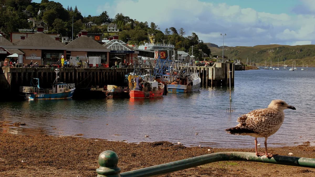 Argyll and Bute housing market