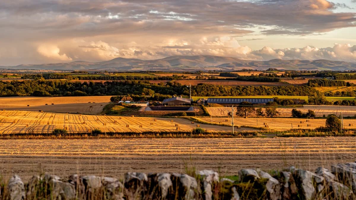 Scottish Borders housing market